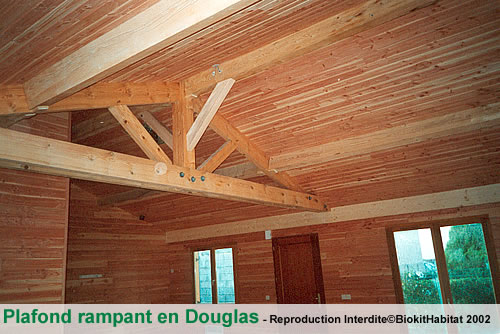 modeles - plaf_ramp_douglas.jpg