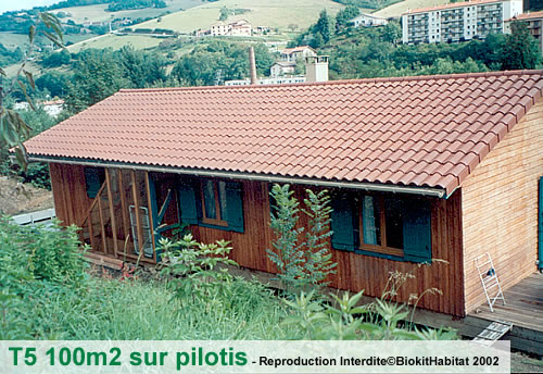 modeles - t5_pilotis.jpg